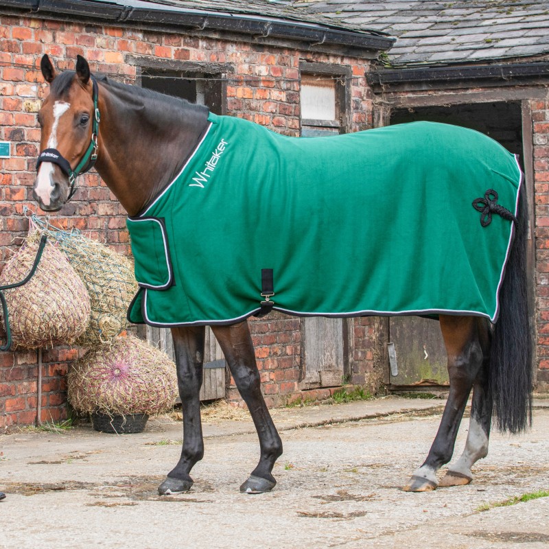 R160 Club Show Rug with Luxury Fluffy Lining in Green